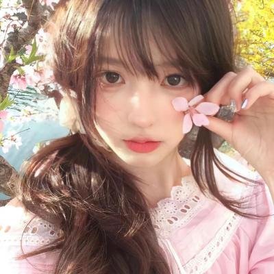 完美伴侣