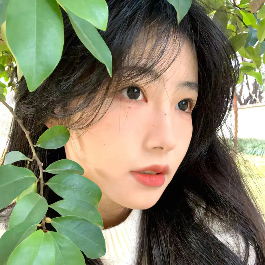 人生访客
